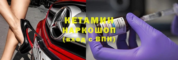 индика Осинники