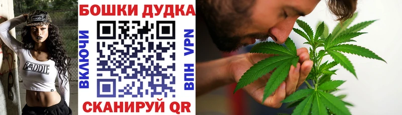 Шишки марихуана AK-47  магазин продажи   Заволжск 
